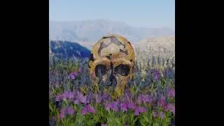 HBM138: Did Neanderthals Bury their Dead?