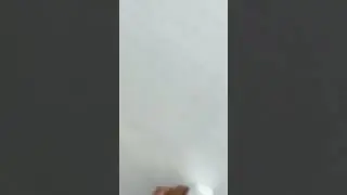 Wall touch-up paint gadget