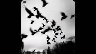 (FREE) Zeu x Mairo Type Beat - CORBEAU