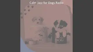 Glorious Calm Dogs