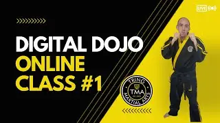 Digital Dojo - Workout #1 | Tring Martial Arts | Online Workouts