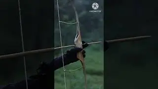 Bow Bamboo And Arrow Bamboo#diy #craft #youtubeshorts #wood #bamboo