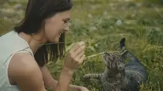 From Wild Hunters to Purring Companions: The Cat's Journey