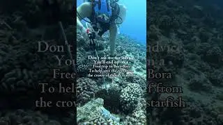 Save The Reef With Me From The Crown Of Thorns Starfish - Link To Apply Below #HoustinSolution