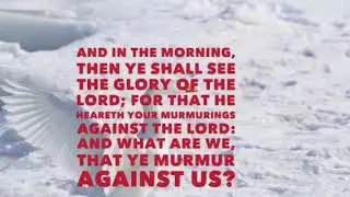 Exodus 16:7