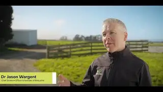 AgriZeroNZ investment: BioLumic's low emissions pasture