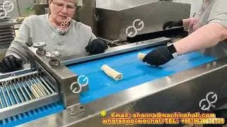 Fully Automatic Spring Roll Production Line with Frying