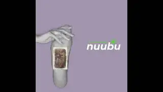 Detox Foot Patch