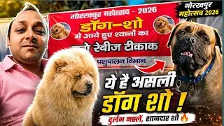 Gorakhpur Mahotsav Dog Show 🐕 | Rare Breeds, Cute Dogs & Amazing Moments