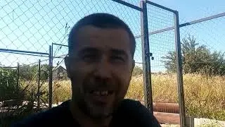 бройлер РОСС 308  содержание от 35дней до забоя  Итоги