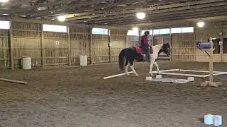 Class 98 - Open Trail WJL/WTC - Bob Williams #102 - November 2025 show