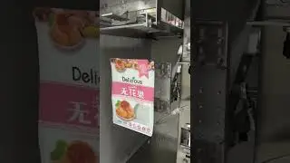 500G dried fruit and nut packaging machine with pouch