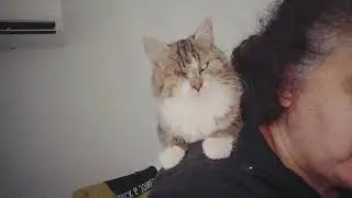 Bakkal G&uuml;n&uuml;