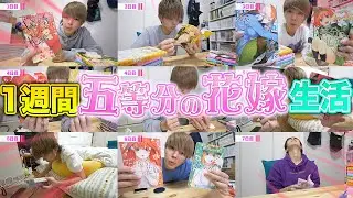 【検証】
