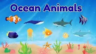 10 Little Fish Song | Sea Animals for Kids | Ocean Animal Names | Count 1 to 10 | Pumpkin yards