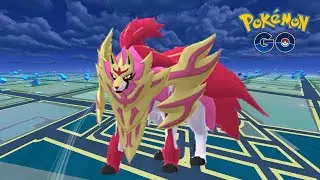 Crown Shield Zamazenta Raids | Pokemon GO
