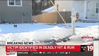 Name released of Elyria woman fatally struck by driver who thought he hit a deer