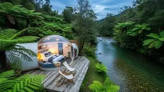 Relaxing Music for Relieving Anxiety and Stress 🌿 Sleeping Music, Heal Insomnia & Calm Your Soul