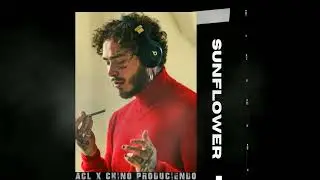 Sunflower - Post Malone Type Beat