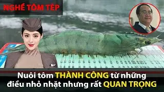 Nuôi tôm THÀNH CÔNG từ những điều nhỏ nhặt!