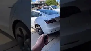 I Found a *SECRET* Tesla Easter Egg 🤩🤯 #shorts #tesla #model3 #teslaflex