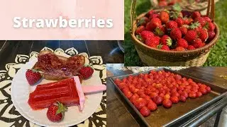 Making things with strawberries!!