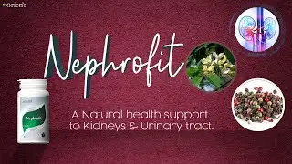 Nephrofit Tablet Available Online | Naturally Purify Urinary Tract | Oriens | Dissolves kidney stone