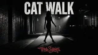 CAT WALK (Official 3D Video) | First Ever 3D Punjabi Rap Experience - Tera Sanki