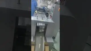 Automatic cheese stick pillow packing machine