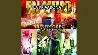 El scrapy (En vivo)