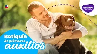 Botiqu&iacute;n de primeros auxilios para mascotas 🐾💊 #ExpertoEnMascotas