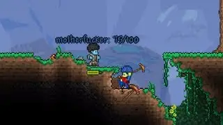 The Most Scuffed Terraria Squad