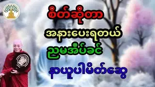စိတ်ဆိုတာအနားပေးကတယ်ညမအိပ်ခင်နာယူပါမိတ်ဆွေ#ပါချုပ်ဆရာတော်တရားများmp3 