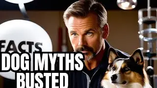 The Dark Reality of Dog Training Myths