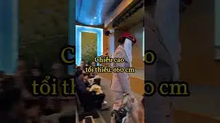 Ti&ecirc;u chuẩn để trở th&agrave;nh TVHK Emirates
