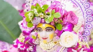 आजु निकुंज मंजु में खेलत पद गाते हुए पूज्य महाराज जी