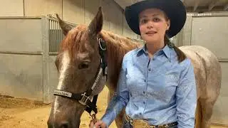Champion Talks with Austria Arnold: 2021 NCHA Super Stakes