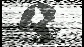 Hermunen/Amaral - No Center to Hold