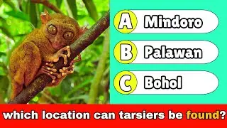 General Knowledge Quiz about The Philippines |  32 Questions with Answers | Philippine Trivia Quiz