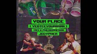 tn3 x Phenormenon : Your Place [yedteeyourbann] (mixtape)