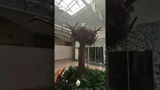 THE END OF A ERA CRYSTAL RIVER MALL TO PERMANENTLY CLOSED TODAY 8-20-22 1990-2022 32 YEAR'S OPEN
