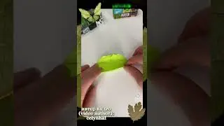 *звука нет,гоблин в своём тгк всё объяснил (ссылка в закреплённом комментарии) #goblincore #reels