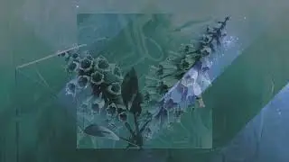 Dream With Me - - Fear Decay X Rew&Oslash;und Official Visualizer