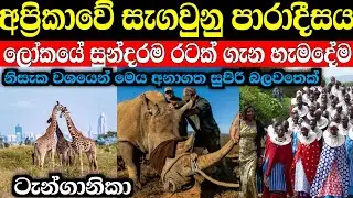 ටැන්සානියාව මෙතරම් සුපිරි රටක් කියලා දැනගෙන සිටියද | Tanzania in sinhala