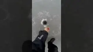 и пришёл невод с тиной морской #fishing #рыбалканаозере #рыбалка