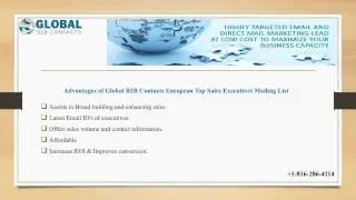 European Email Database Lists