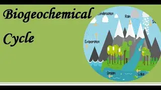 Biogeochemical cycle#GR Knowledge Gain