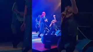EVOLUTION Party Band