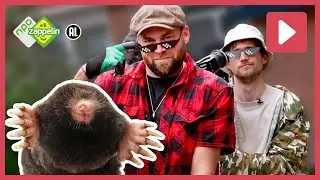 ZO VIND JE EEN MOL  🔍 | Beestenbrigade Stadsdieren | NPO Zappelin