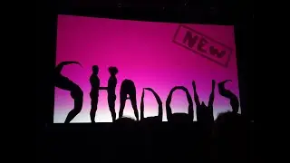Moving Shadows bei der Blauen Nacht in N&uuml;rnberg